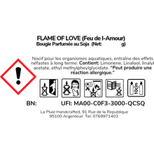 Load image into Gallery viewer, Flame of Love
